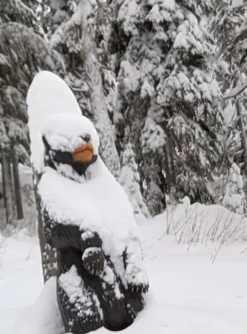 Carved black bear wearing a tall cap of snow among snowy spruce
