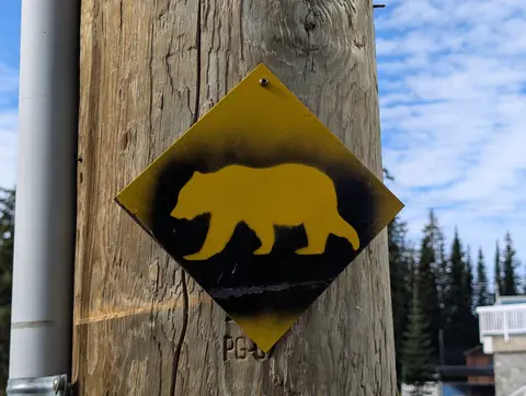 Yellow bear sign on a wooden pole against a blue sky