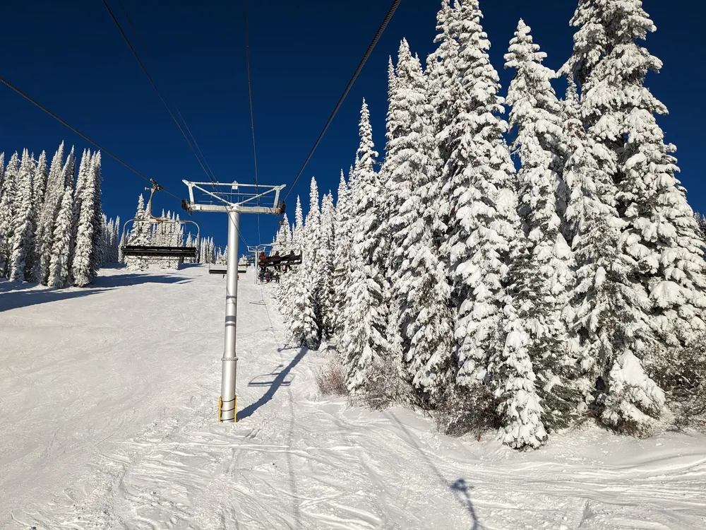 Chairlift line beside snow-plastered spruce trees under a deep blue sky