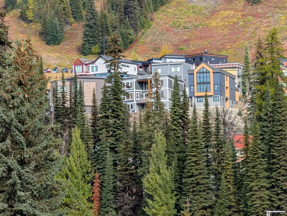 Wood-clad chalet buildings among spruce trees below an autumn ski run