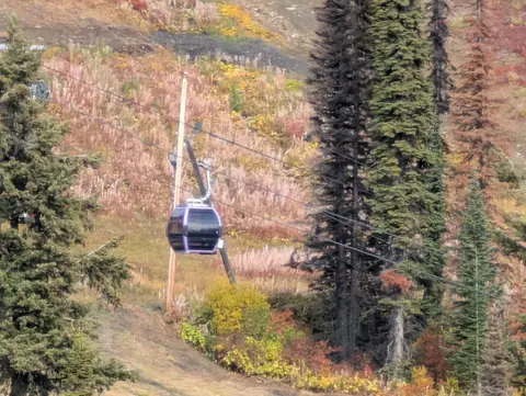 Gondola cabin on its cable above a russet autumn slope