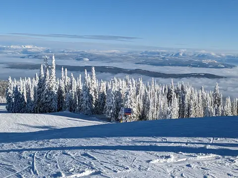 Groomed run and snow-covered trees above a sea of valley cloud