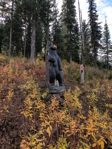 Carved black bear among spruce and red and yellow fall shrubs